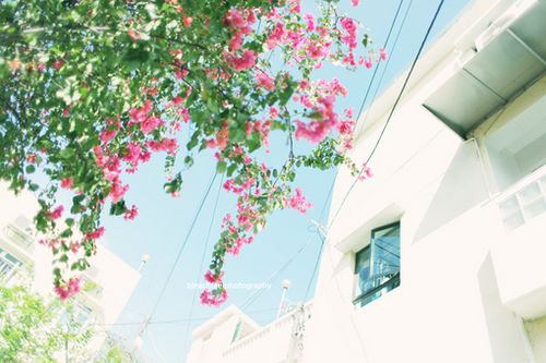 ��ʱ����ƽ��������������ȥ (8)