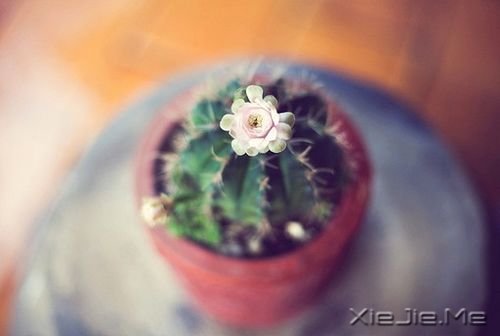 �����ھ;���ʧ��������δ����ôԶ�����ô�� (5)