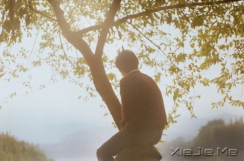 д����ʿ����������ֲ������