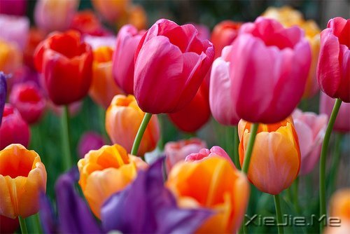 ��Ҫ������ң�ֻ�󰲰����� (3)