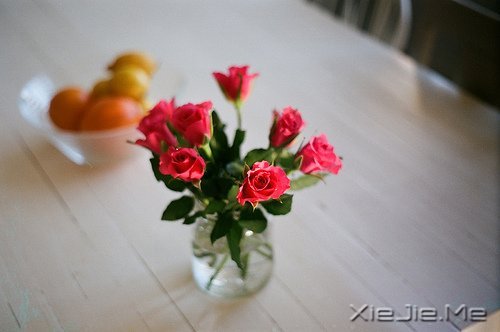 ���㶮�ã�������ϧ (8)