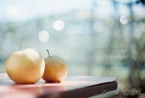 ��Ҫֹͣ׷��ĳЩ�������������� (11)