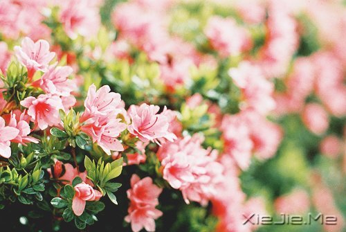 ������;���������� (7)