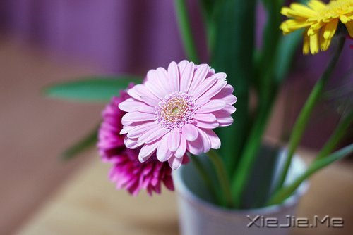 每个人都有自己的人生,冷暖自知 (1)