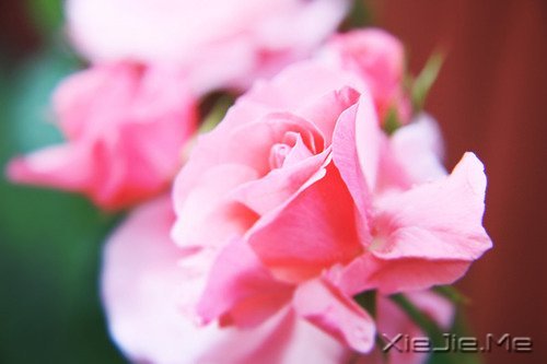 每个人都有自己的人生,冷暖自知 (6)