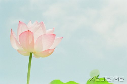 ˽���ɣ�����һ���� (1)