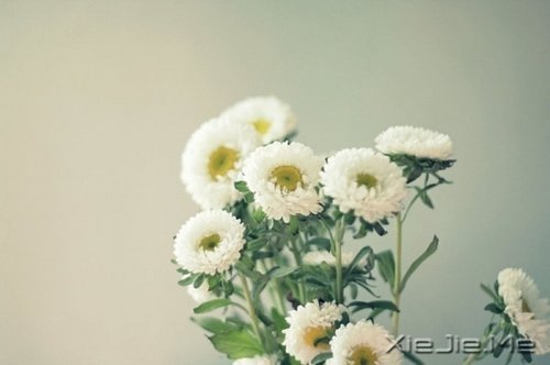 ������������ô��⣬���Լ�������һ��Ҫ���� (3)