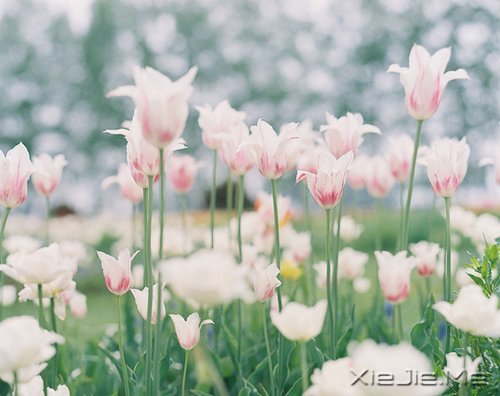 ���Լ����ˣ��Ż����˰� (9)