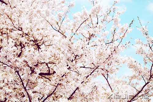 ���ܳɹ���������������� (5)