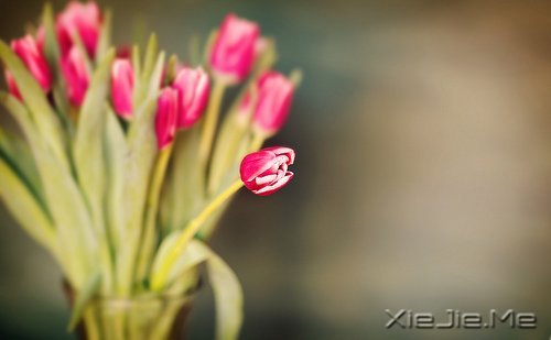 �ܶ�������Ƕ�����֪����ȴ������ (1)