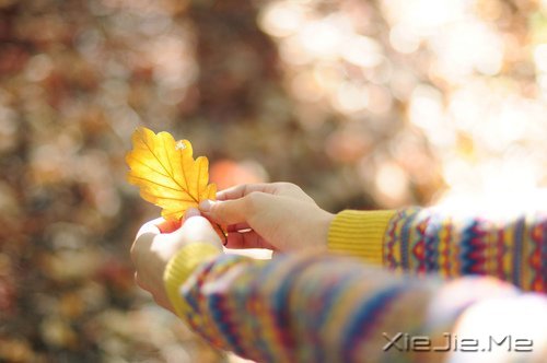 ���ۺû������춼�ᵽ�� (7)