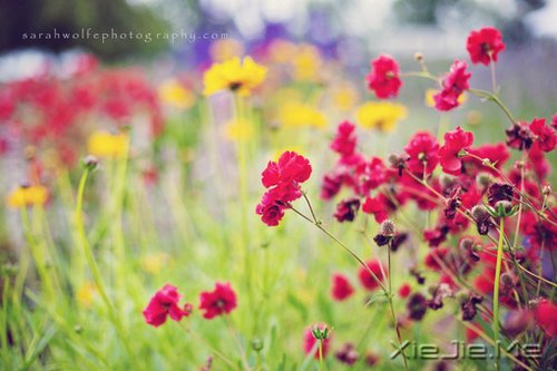 ����Ĺ¶�����һƬ�ڰ���������ֻ�ܿ����Լ� (5)