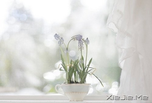 早安心语:脏话比谎言干净一千倍 (7)