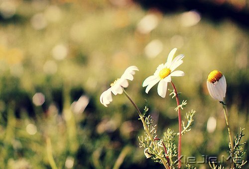 ��������ҵ�������· (9)