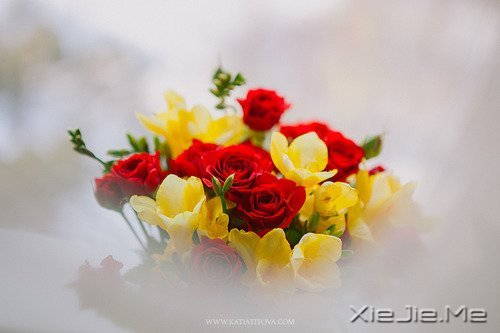 �簲������Լ����������ǣ������Ǳ��������еĿ��� (9)