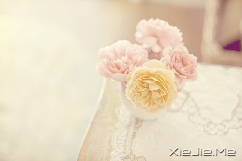 �簲������ƺ����飬����Żᴦ����� (1)