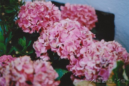 ��������˲������ں�ҹ���������û�й� (6)