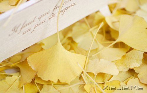 ������������һ���Ǹ����˿��ģ����ɵ�һ���Ǹ����˿��� (5)