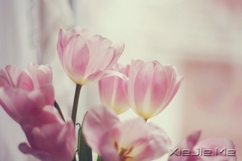 �簲����߽����·�������µ����� (4)