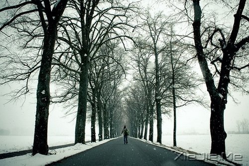 �������һ���˺��¹¶��������˺��¹��� (6)