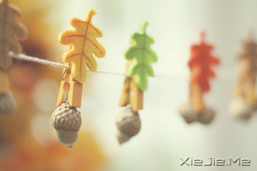 早安心语:不忘初心,方得始终 (8)