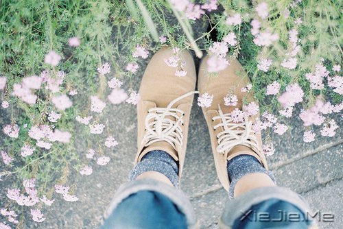 ����������Լ����������ǣ������Ǳ��������еĿ��� (9)