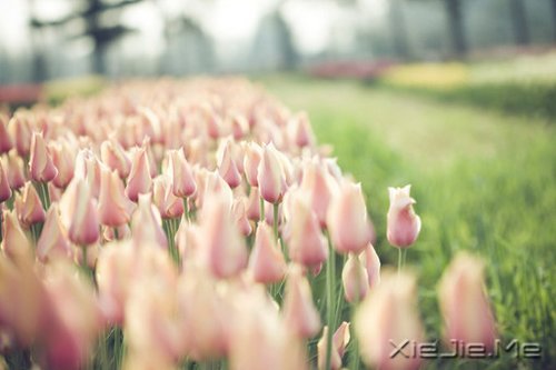 �簲�������ʱҪ������ʧ��ʱҪ���� (6)