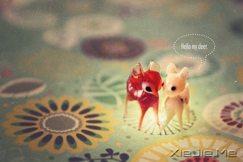 �������ѧ��õı��ˣ�����õ��Լ� (8)