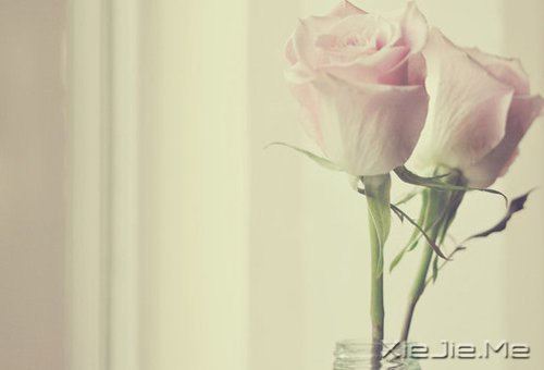 ������������������ǵ�Ȼ (9)