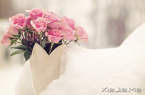 ��ɽ��ˮԶ�ĵ�·���վ���Ҫ�Լ�����ȥ (1)