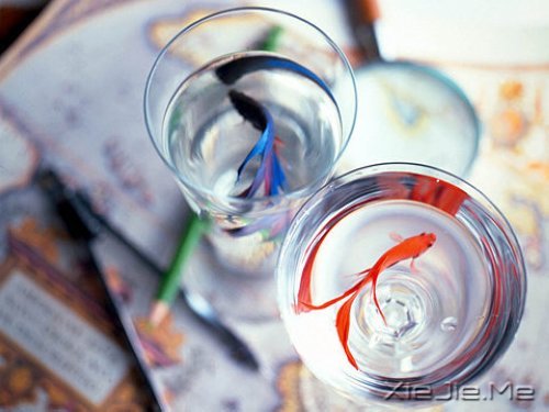 �簲�����Ȼһ�У��������� (5)