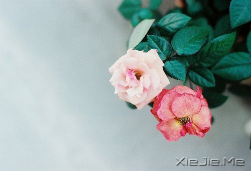 �������������������������� (9)