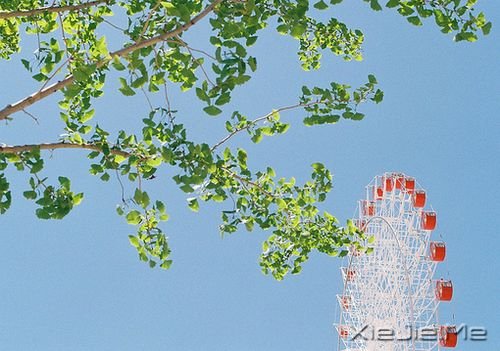 晚安心语:总有些瞬间,能温暖整个曾今 (4)