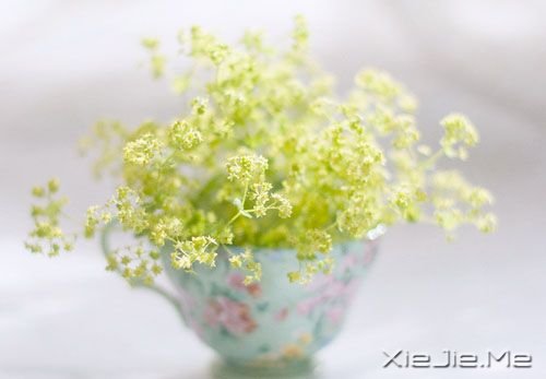 �簲����㿴����̫���ף�������ʧ�����µ����� (5)