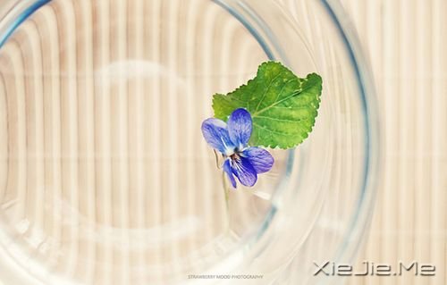 晚安心语:勇敢生活,微笑面对 (2)