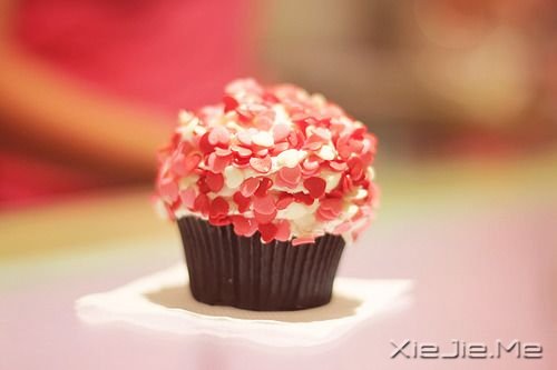 晚安心语:忘不掉的是回忆,继续的是生活 (6)