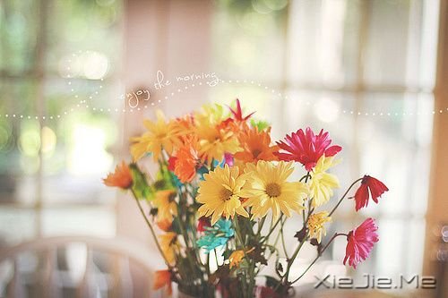 �������ֻҪ�������ʵģ�������û������ (6)