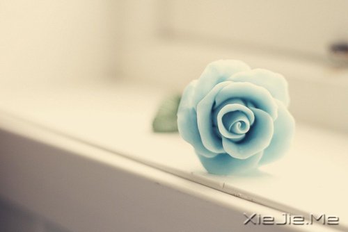 �簲�����һյ�ƣ��������� (5)