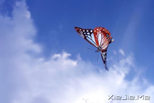 �����������Ҫ���ҵķ�ʽ����һ�� (10)