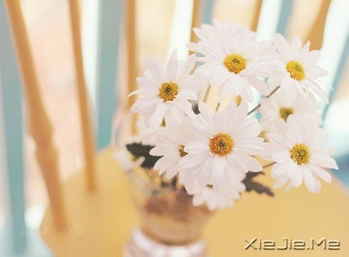 ��������������������Ų��� (9)