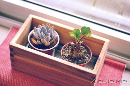 �簲�����Ҫ�������˶�������Ĵ��� (10)