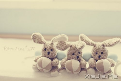 �������ԽŬ����Խ���� (2)