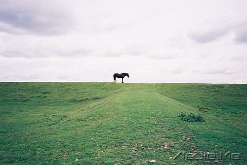 早安心语:做单纯的人,走幸福的路 (6)
