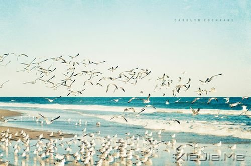 ����������ַſ�����õ�����һ�� (3)