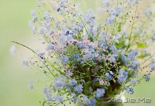 早安心语:生活总会给你另一个机会,这个机会叫明天 (2)