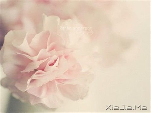 �����������������Ц����������ϧ (6)