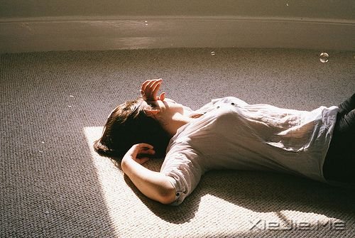 �����������̫͸����ͻ�������Ĺ¶� (4)