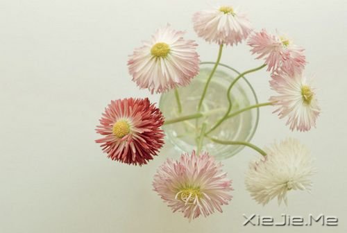 �簲����������ڱ��˵����������ʧ���Լ�����·�� (10)