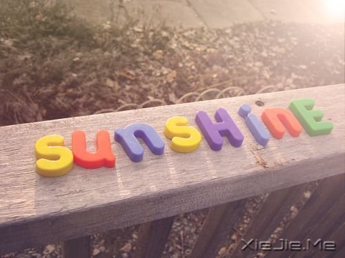 �������ѡ��һ����ȷ��·���ᶨ������ȥ (5)