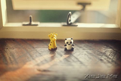 �簲��������Ҫ��������������������� (10)